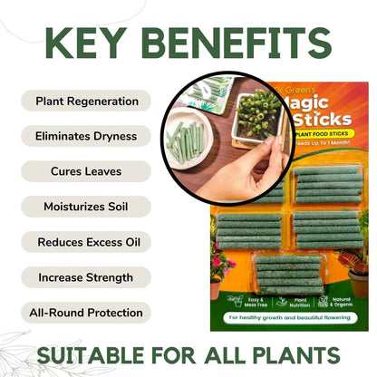Magic Sticks - (Pack of 2 - 25 Sticks)